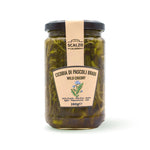 Cicoria di Pascoli Bradi