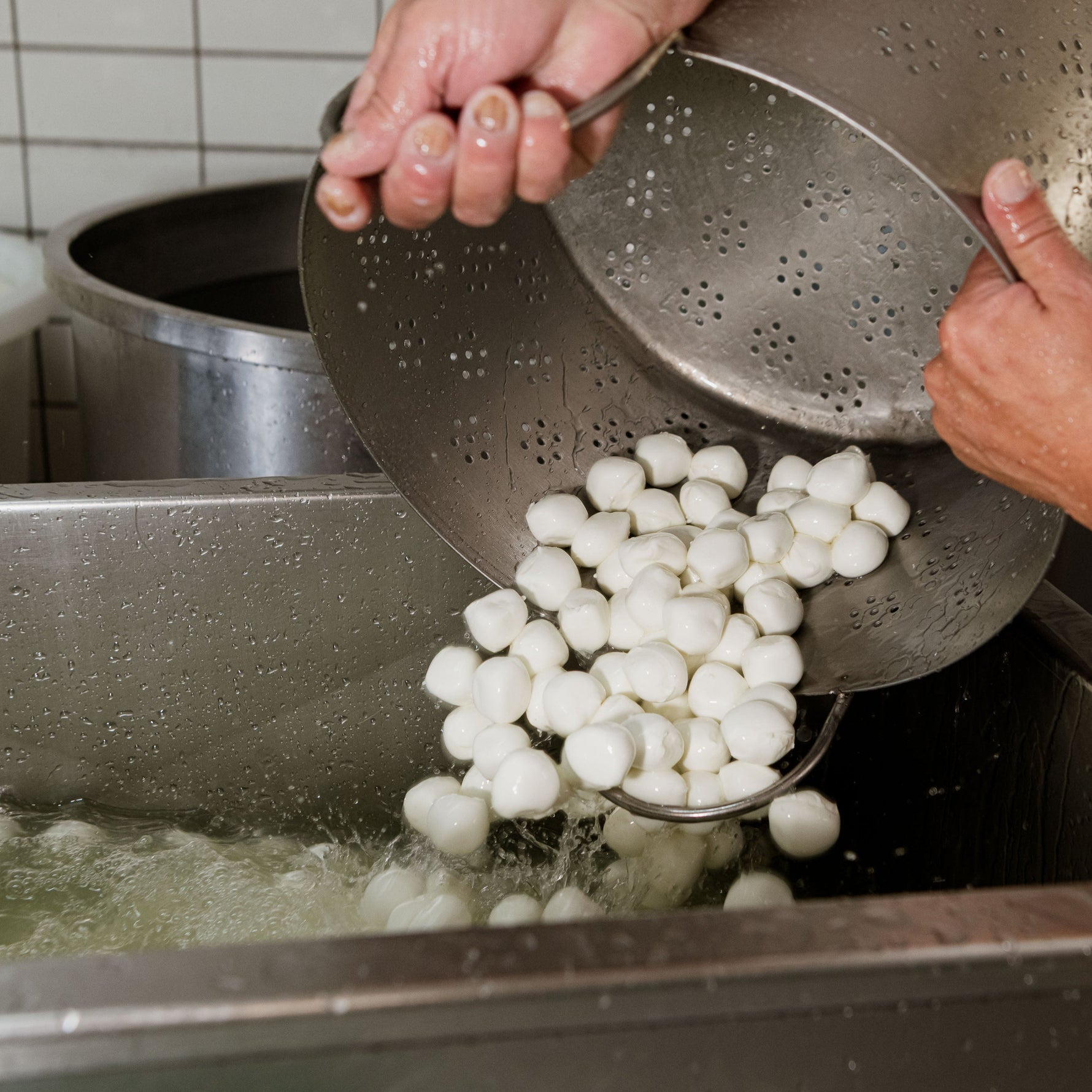 Mozzarella di bufala campana: il tesoro bianco che conquista il mondo