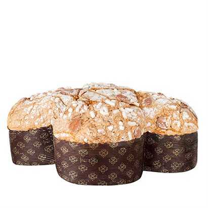 Colomba classica