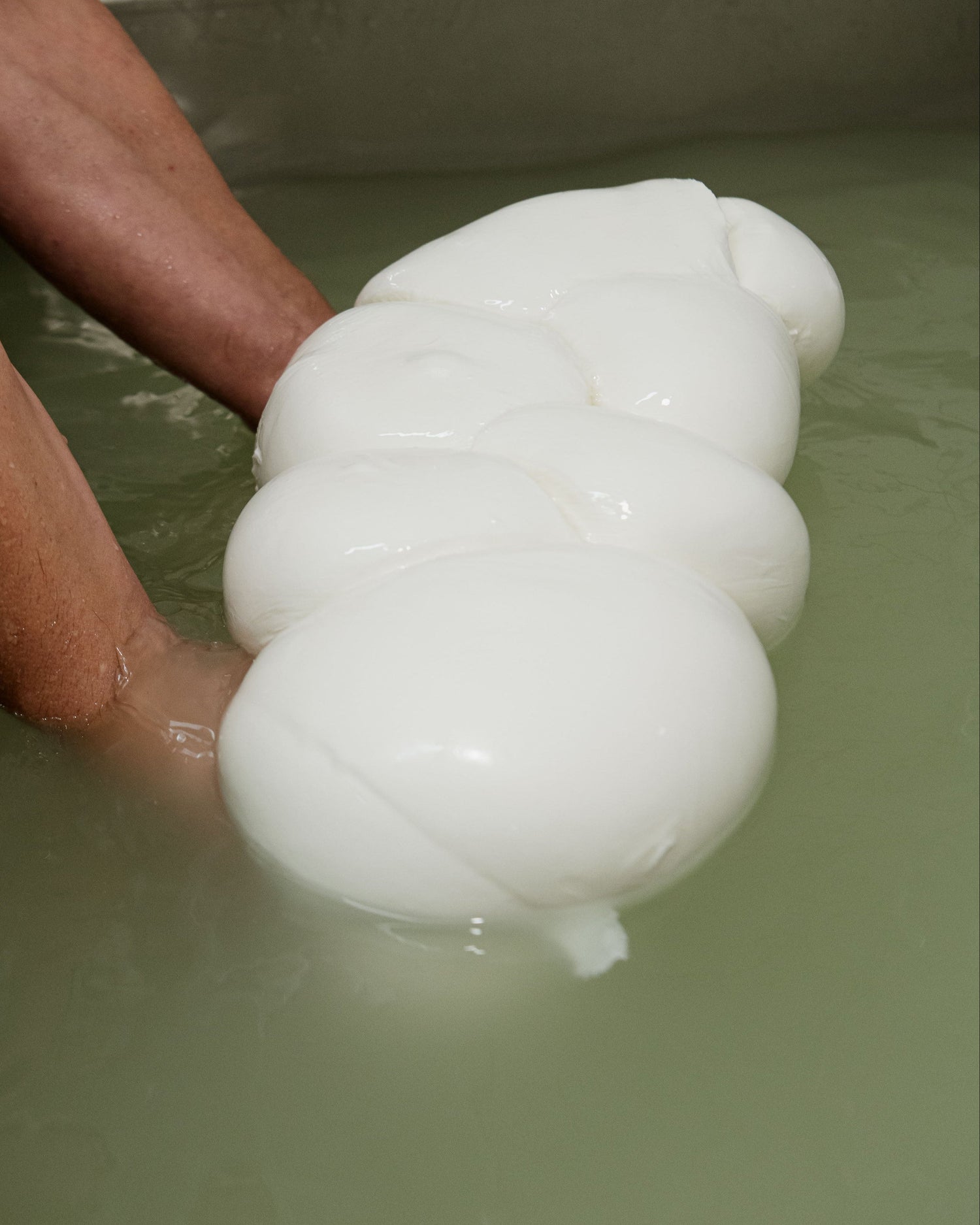 Braccia del casaro che intrecciano a mano una grande treccia di mozzarella fresca immersa in salamoia.