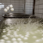 Mozzarelle bocconcini freschi immerse in acqua durante la fase di lavorazione in un caseificio artigianale.