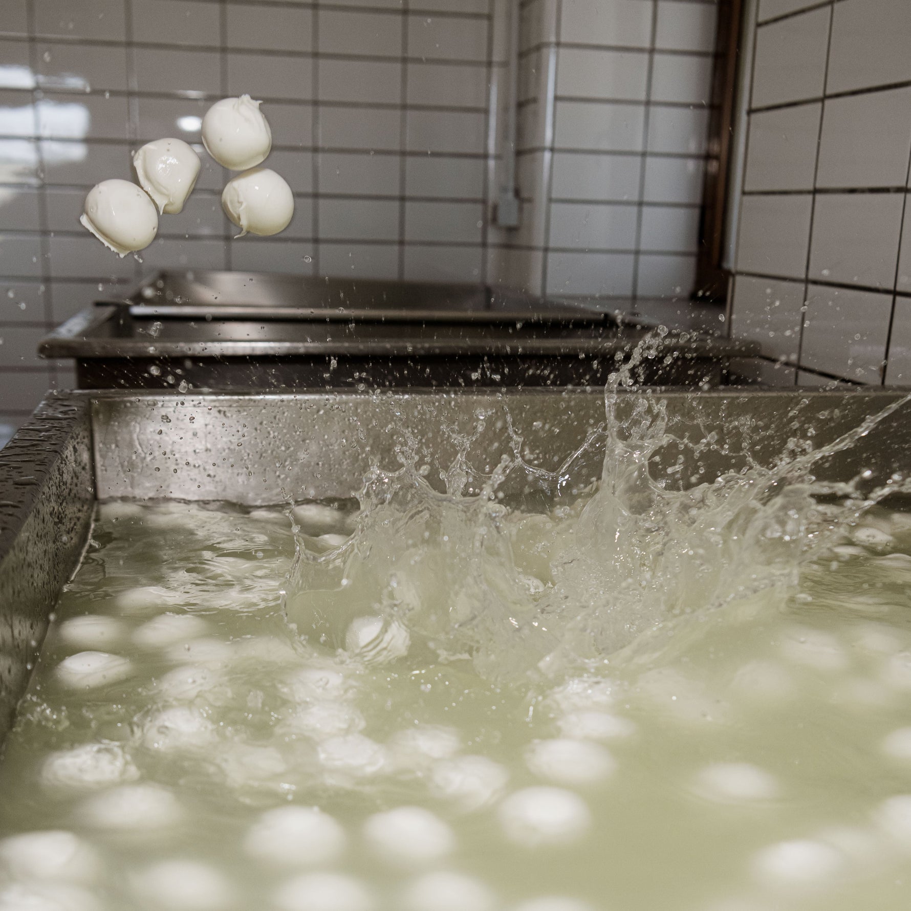 Mozzarelle bocconcini freschi immerse in acqua durante la fase di lavorazione in un caseificio artigianale.