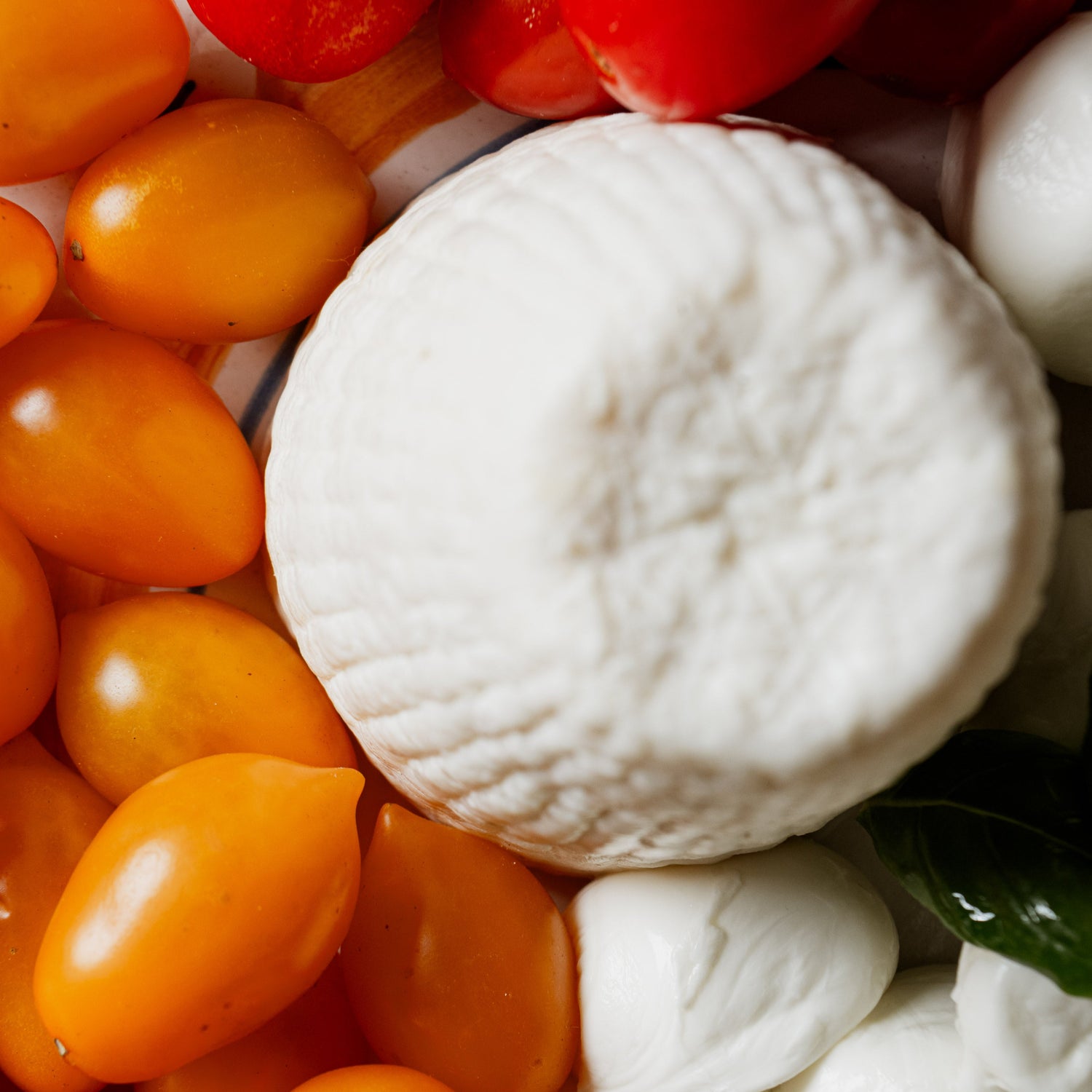 Ricotta dura al centro circondata da pomodori gialli e rossi, bocconcini di mozzarella e foglie di basilico su un piatto colorato