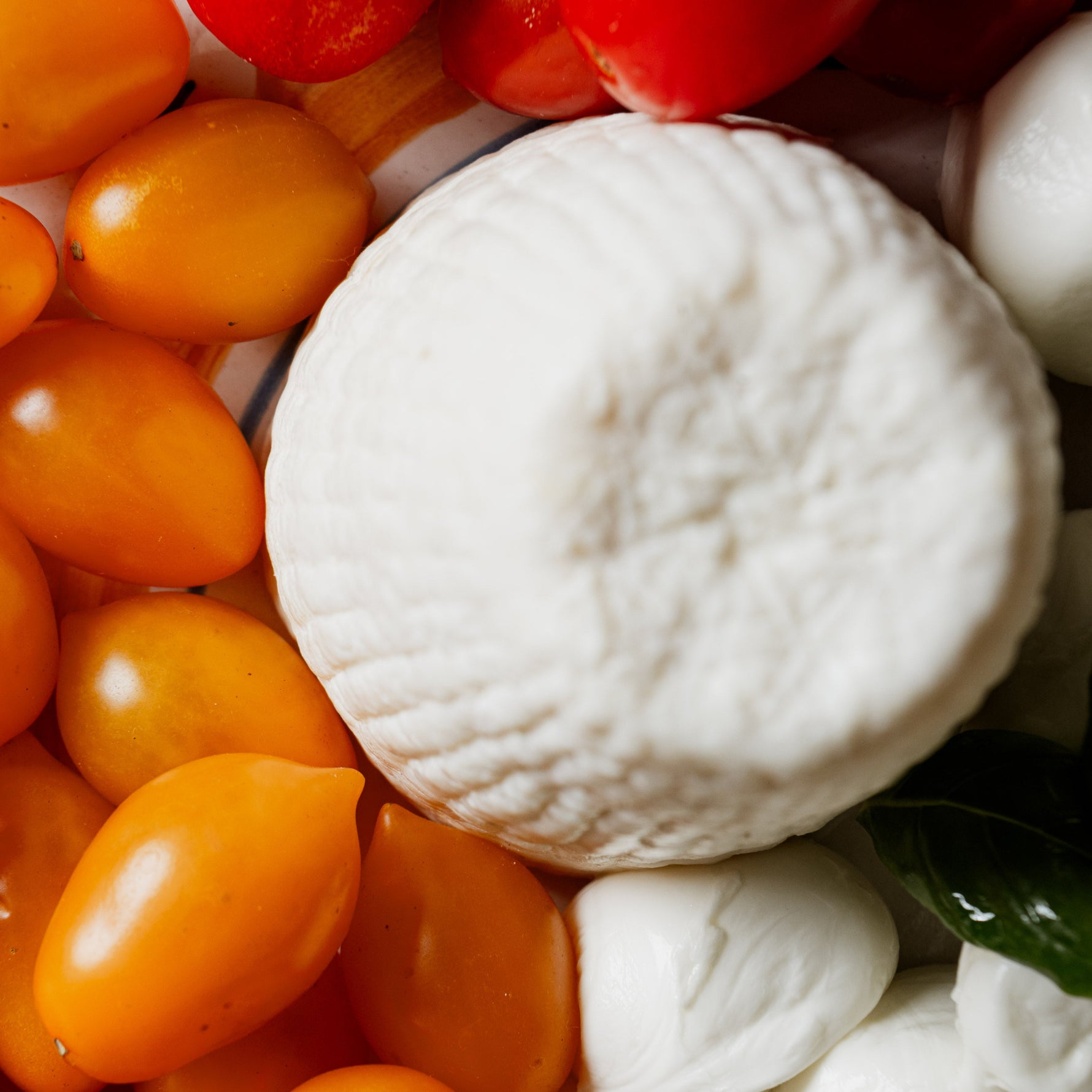 Ricotta dura al centro circondata da pomodori gialli e rossi, bocconcini di mozzarella e foglie di basilico su un piatto colorato